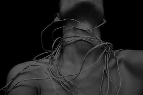 1897768_458130254375201_51058370782791297_n